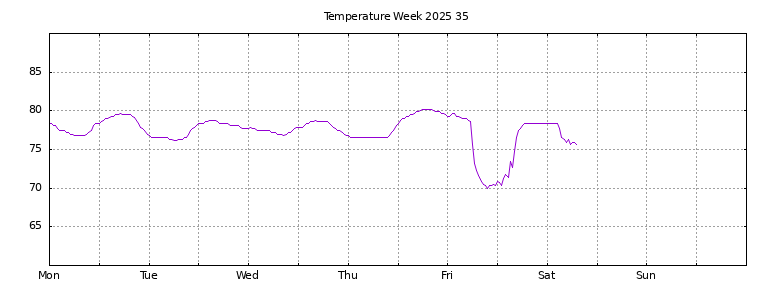 [Temperature this week graph]
