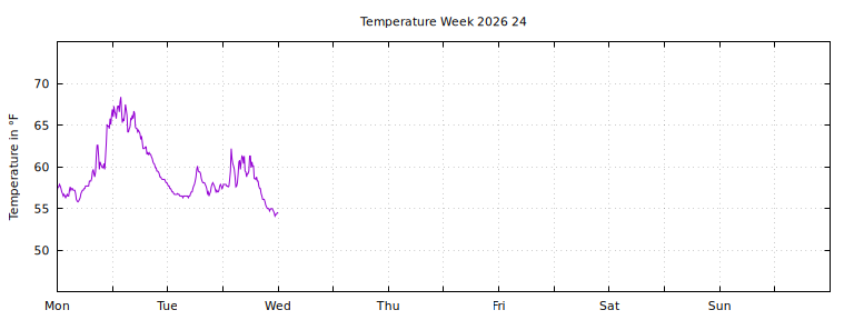 [Temperature this week graph]