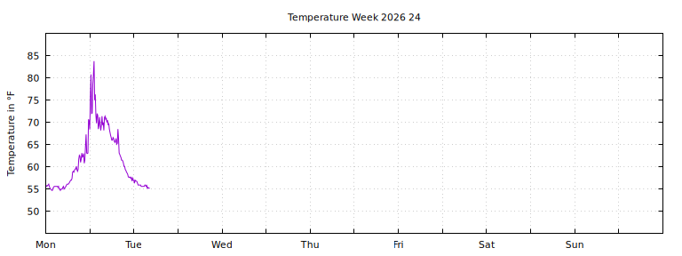 [Temperature this week graph]