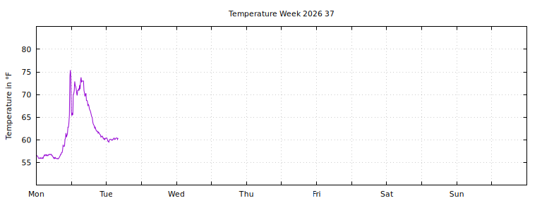 [Temperature this week graph]