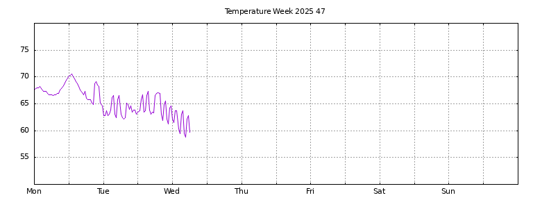 [Temperature this week graph]