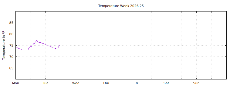 [Temperature this week graph]