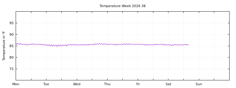 [Temperature this week graph]